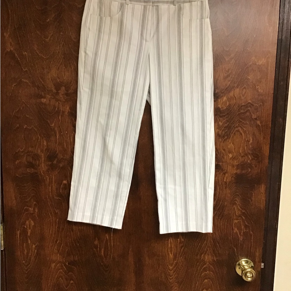Talbots womens crop pants.Petite Size 2 - Picture 2 of 4